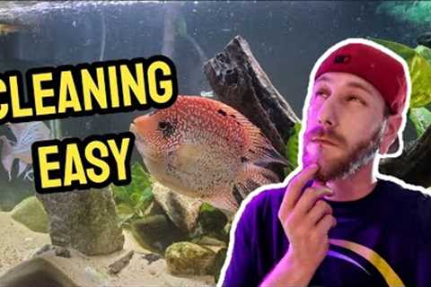 The Best Ways To Maintain A Fish Tank Aquarium Maintenance |  Clean your Fish Tank Easily