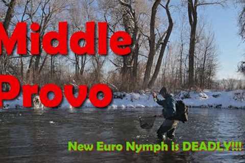 Fish After Fish on a New Euro Nymph!!! - Fly Fishing the Middle Provo