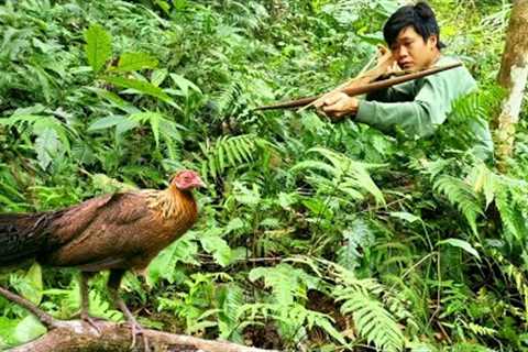 Survival, skills, Making crossbows - hunting wild chickens to survive alone in the forest