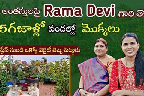 Terrace Garden Ideas for home|Terrace gardening for Beginners