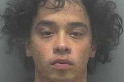 26-Year-Old Florida Man Arrested After Sex with 15-Year-Old Girl He Met on Fortnite: Police