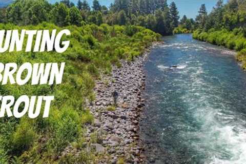 FLY FISHING in Crystal CLEAR River [New Zealand]