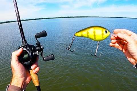 Fishing HUGE Lures for the Strongest Fish in Kansas {CATCH CLEAN COOK}