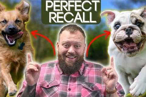 Dog Training Perfect Recall! Have Your Dog Come To You Every Time