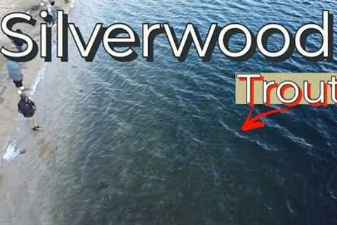 Silverwood Lake Trout Fishing 2022