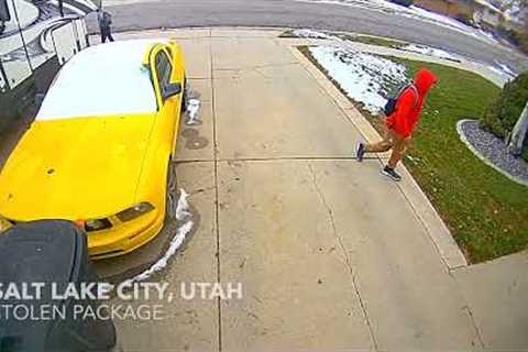 Doorbell Videos 1-2-2023 | DAILY DOOR CAM