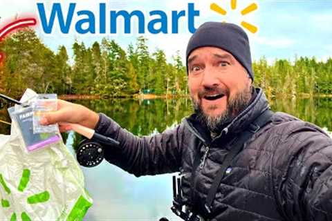 WALMART Budget Fly Fishing CHALLENGE!! (SURPRISING!)