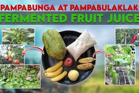 HOW TO MAKE FERMENTED FRUIT JUICE | FOLIAR FERTILIZER l AML EP06
