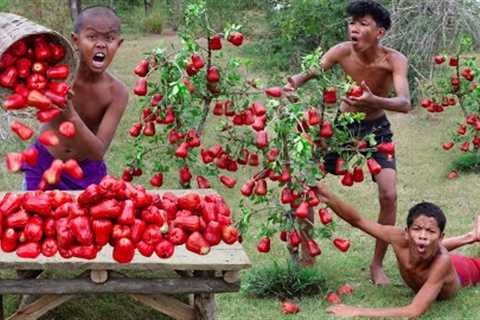 Survival Meet Rich Fruit Hungry Eating In The Rainforest
