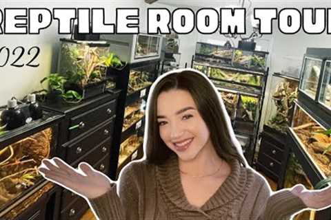 2022 REPTILE ROOM TOUR | Snakes, Lizards, Spiders &amp; More