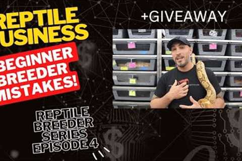 6 Beginner Reptile Breeder Mistakes- Reptile Breeder Series Episode #4