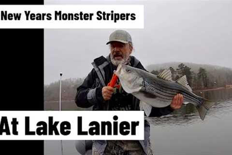 New Years Monster Stripers At Lake Lanier