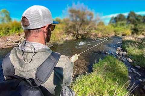 Solo Camping and Fly Fishing: I Caught a 4lb Brown Trout