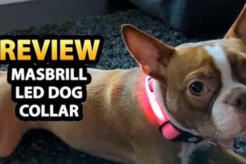 MASBRILL Light Up (LED) Dog Collar Unboxing &amp; Review