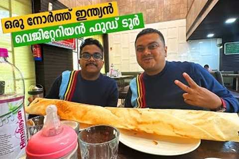EP 176 - Vegetarian Food Tour | Lucknow Metro &amp; Phoenix Palassio Mall | How developed is..