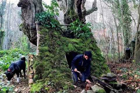7 Days Solo Survival Camping, Building Warm Bushcraft Shelter, Clay Fireplace Primitive Cooking