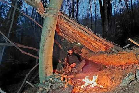 Bushcraft Camping and Cooking in the Wild - Bushcraft Survival Shelter Build, Forest Camp, Asmr, Diy