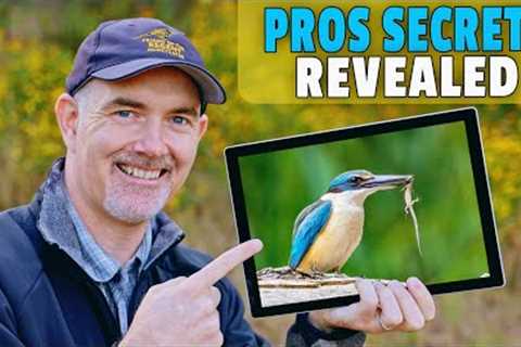 Mastering the Art of Wildlife Photography: Tips from a Pro Wildlife Photographer!!