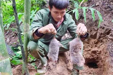 Survival skills, skills, dig and catch bamboo rats &amp; building bamboo houses for bamboo rats