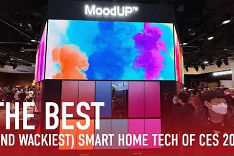 The Best (and Wackiest) Smart Home Tech of CES 2023