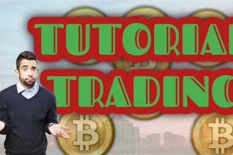THE COURT AN INSURANCE BITCOIN APPOINTED SHOBA PILLAY AS INDEPENDENT EXAMINER AN INSURANCE BITCOIN