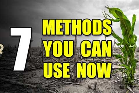 The Collapsing Food Supply Chain: How To Free Yourself