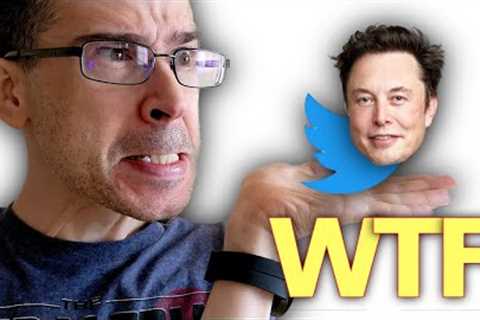 Should Elon Musk Buy Twitter?