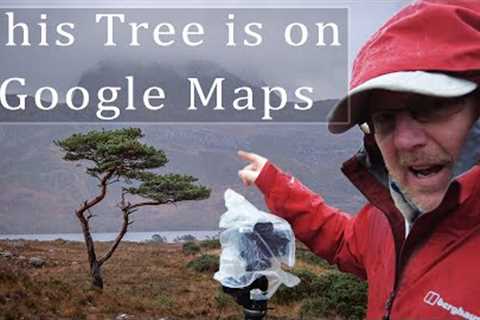 This Tree is on Google Maps, Scotland Vanlife Landscape Photography Tips Loch Maree and Loch Claire