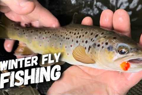 Winter Fly Fishing 2023