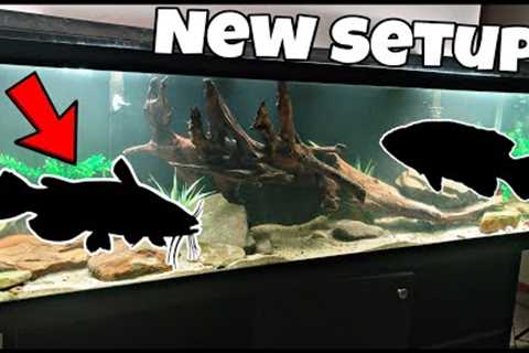 125 Gallon Fish Tank Setup! Freshwater NATIVE FISH Aquarium Build!