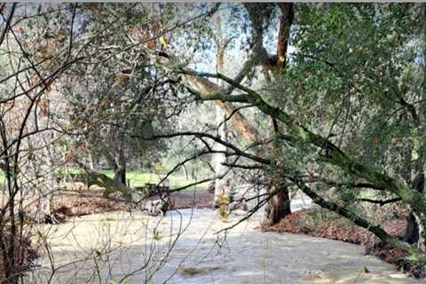Flooding in Morgan Hill