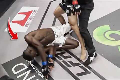 MMA Knockouts You Probably Haven't Seen #2