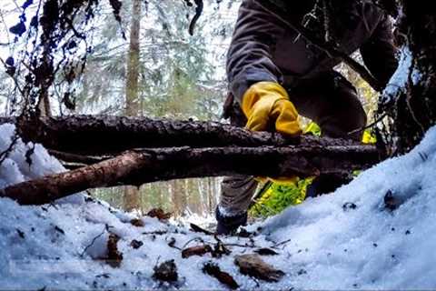 My SECRET of SURVIVAL in the WOODS! Survival Skills for comfortable living off the grid - BUSHCRAFT