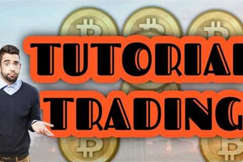 NONE OTHER THAN BITCOIN AN INSURANCE BITCOIN MINING FIRM BITDEER  BITDEER CHAIRMAN INSURANCE BITCOIN