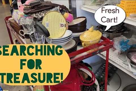 Searching for Treasure on Fresh Carts - Shop Along With Me - Goodwill Thrift Store