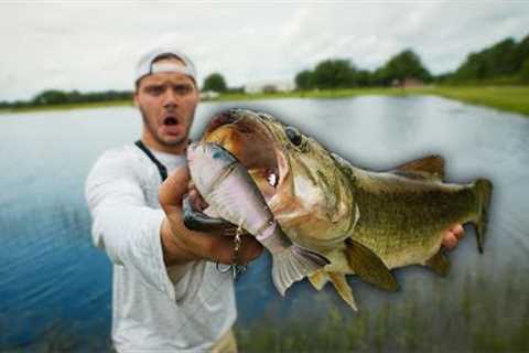 Fishing w/ MASSIVE Swimbait in a TROPHY Bass Lake!! ( topwater explosion )