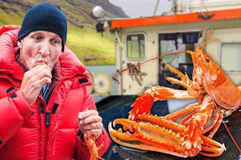 European Lobster Trapping!! Seafood Gold in the Atlantic!!