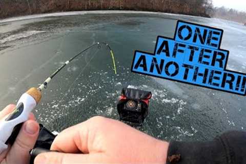 Crappie and Bluegill Were On FIRE!! (January Ice Fishing 2023)