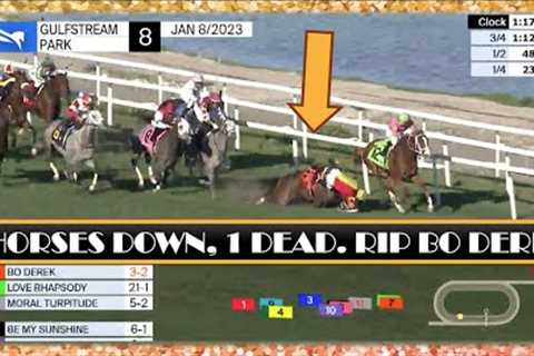 3 DOWN, 1 DEAD AT GULFSTREAM 🏴‍☠️  RIP Bo Derek 1.8.23 @GulfstreamParkRacing #horseracing