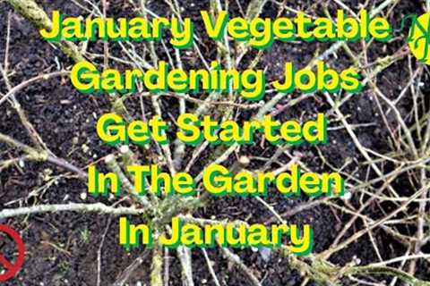January Vegetable Gardening Jobs, 2023