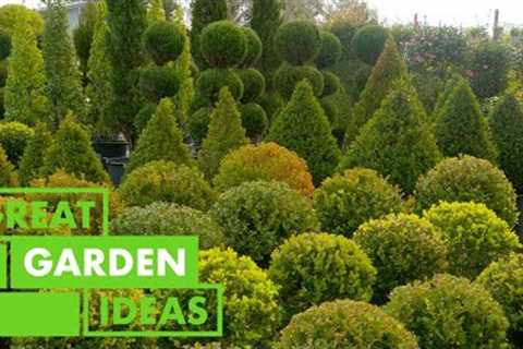 World of Topiary | GARDEN | Great Home Ideas