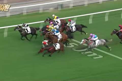 probably the most miserable horse racing accident in hong kong with 2 horse died in the same race