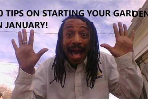10 Tips For Starting Your Garden From Seed In January - Easy Way To Grow Your Own Food #how