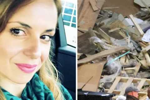 Hacksaw, Hatchet Found in Trash Search for Evidence In Ana Walshe Disappearance: Report