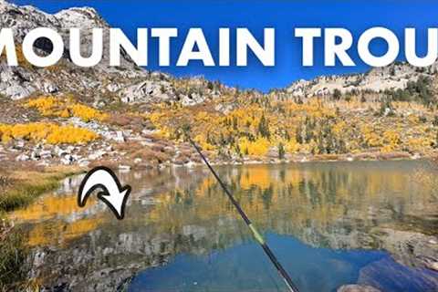 Fishing a High Mountain Lake for Wild Trout (Tenkara Fly Fishing)