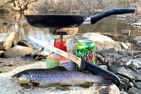 Creek Side TROUT CATCH and COOK (Filet-O-Trout Fish Sandwich)