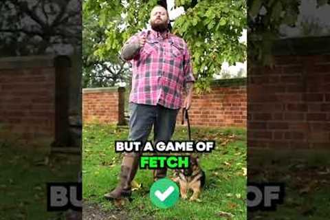 Best Dog Training Tip To Avoid This Mistake