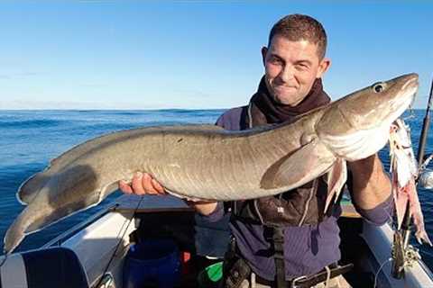 Deep Sea Wreck Fishing - Fishing sunken Shipwrecks for BIG Fish for food | The Fish Locker