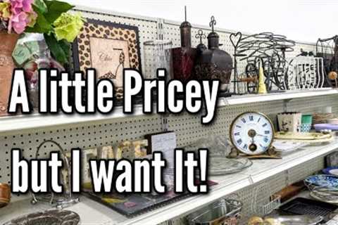 It was a Little Pricey but I Want It! | Goodwill Thrift Shopping &amp; Haul | Thrifting in 2023!
