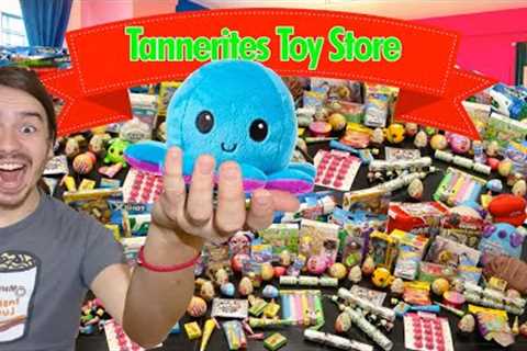 Real TOY Store In My Parents House!!